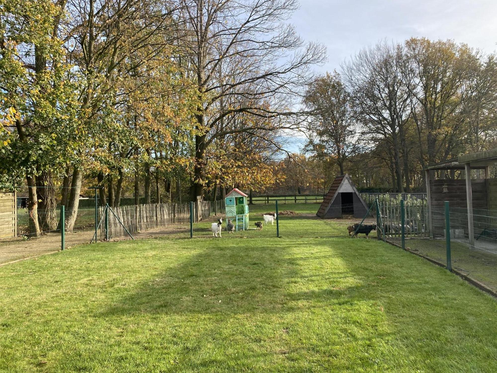 Het Bruegelhof Villa Peer Buitenkant foto